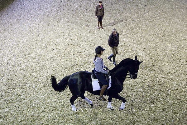 Johann und Coby im Training mit Danielle Heijkoop